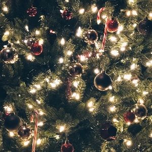 Meet your Posher, Gigi